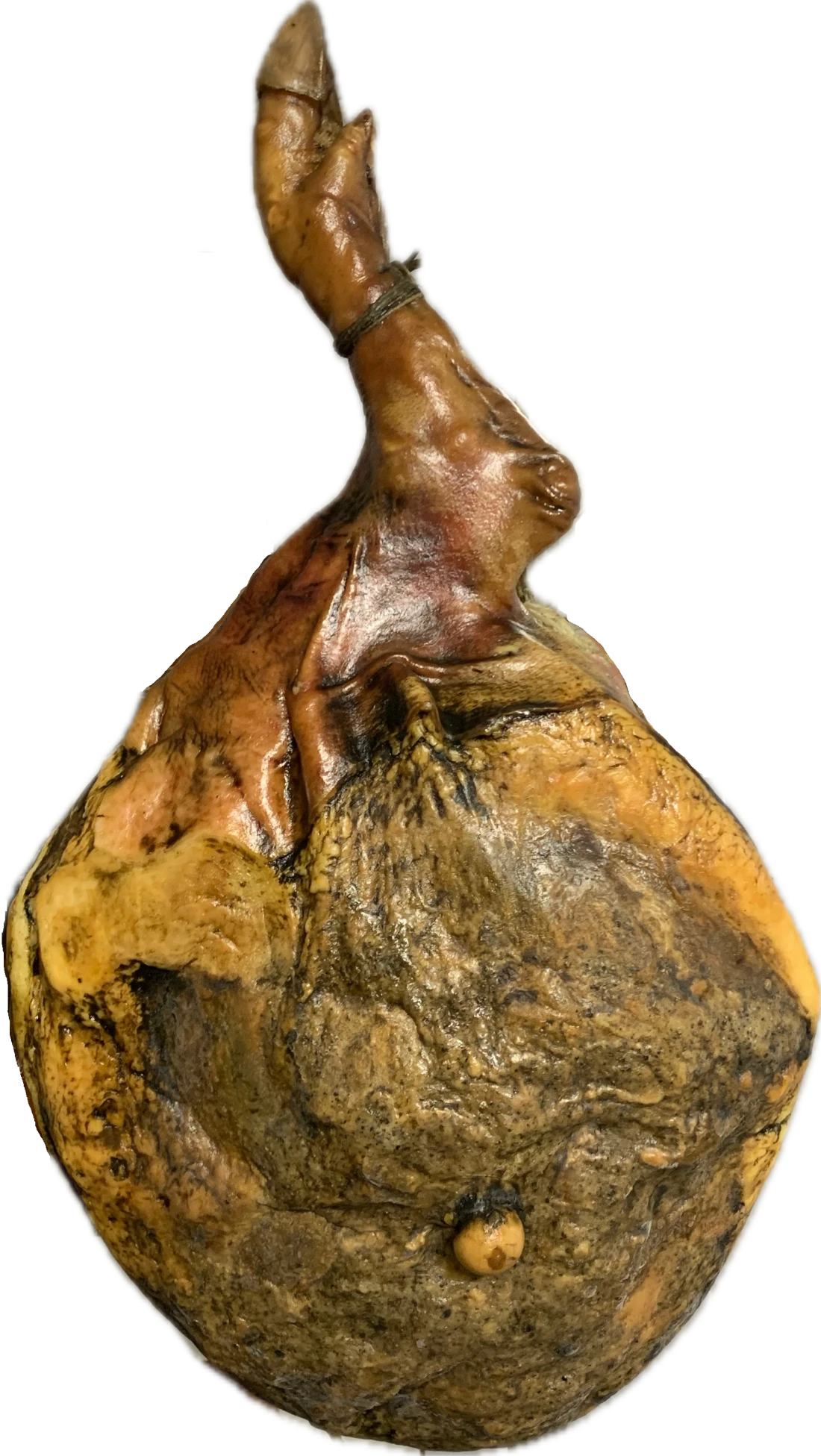 Prosciutto stagionato con la caratteristica zampa flessa